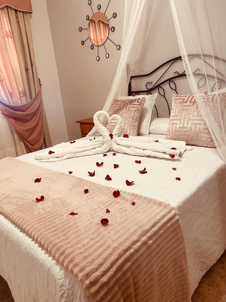 Fantastico Apartamento De 1 Habitacion En El Pris Tacoronte Ngoại thất bức ảnh